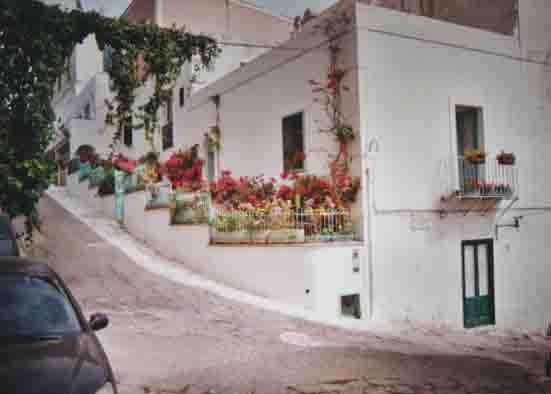 Foto appartamento