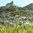 Case Grotte dell'isola di Palmarola